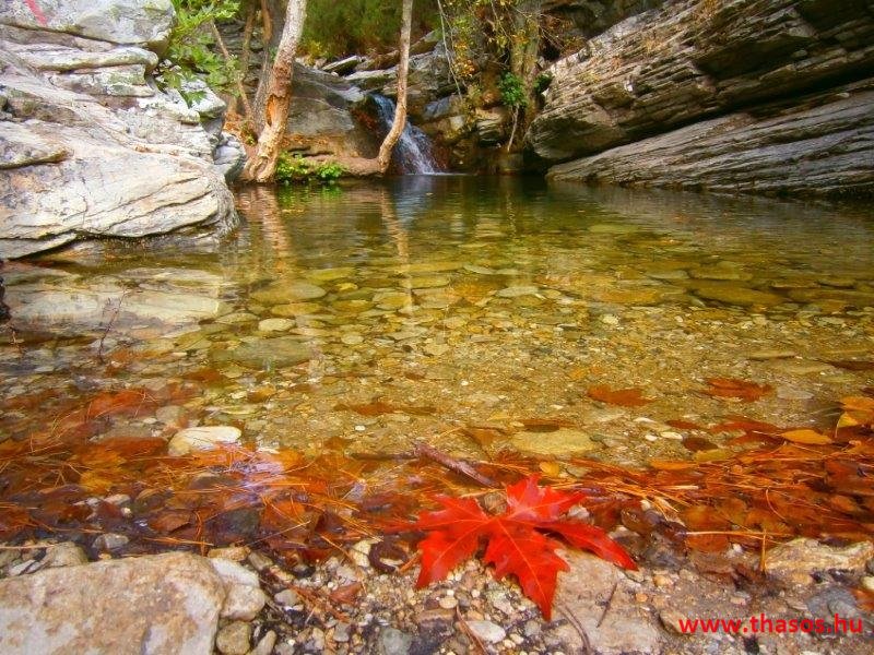 Az öreg falu, a vén platán és a folyók meséje